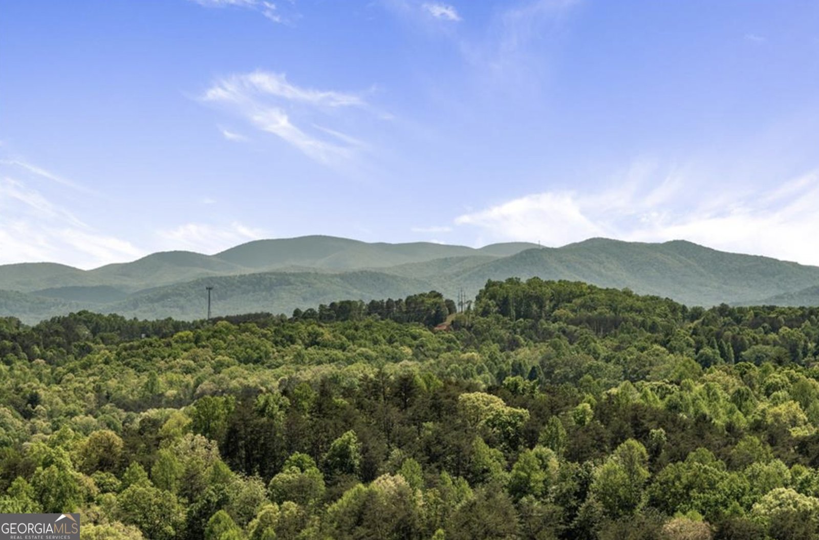 147 Little Bluff Trail Morganton - 22