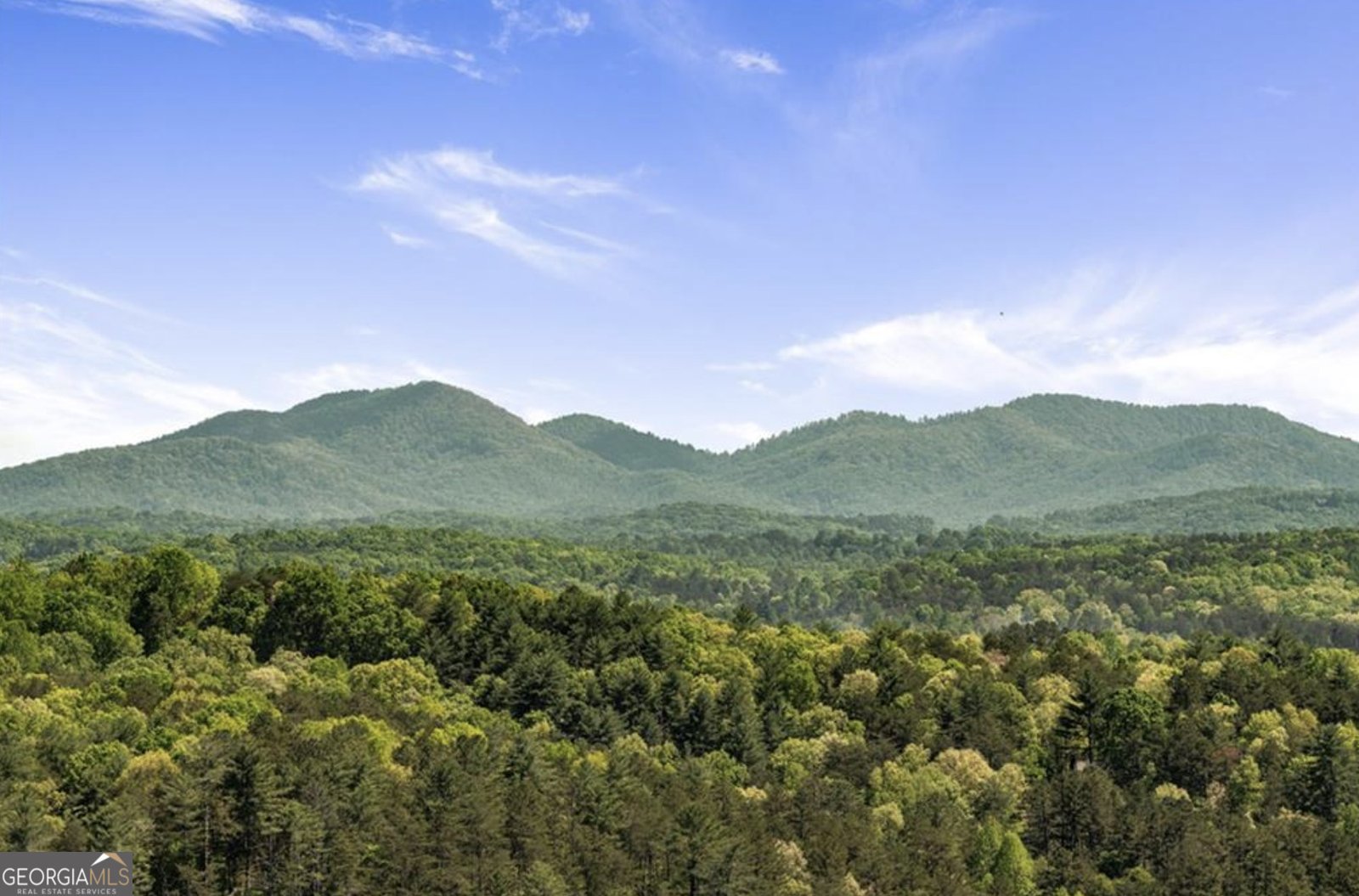 147 Little Bluff Trail Morganton - 23