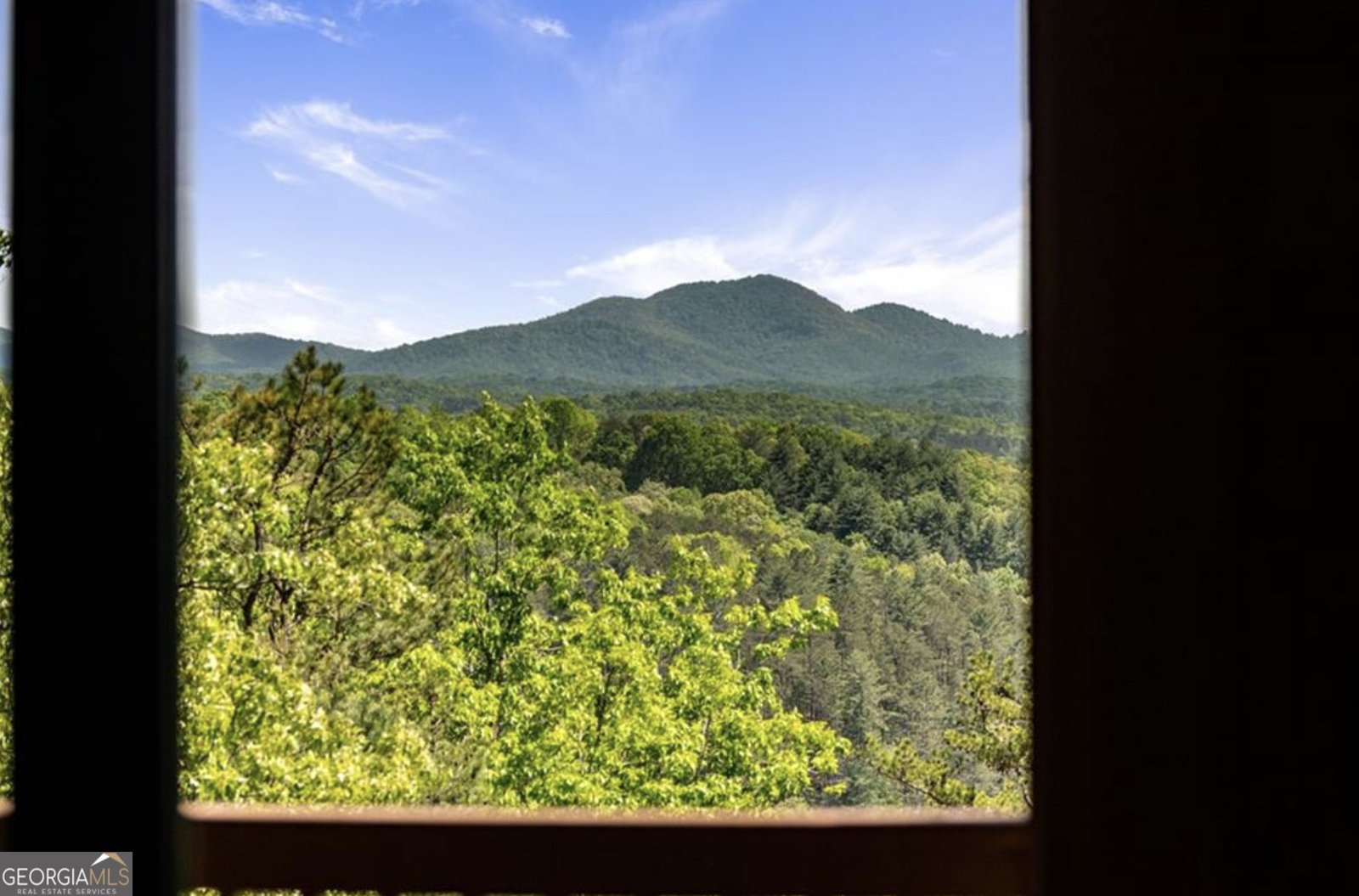 147 Little Bluff Trail Morganton - 24