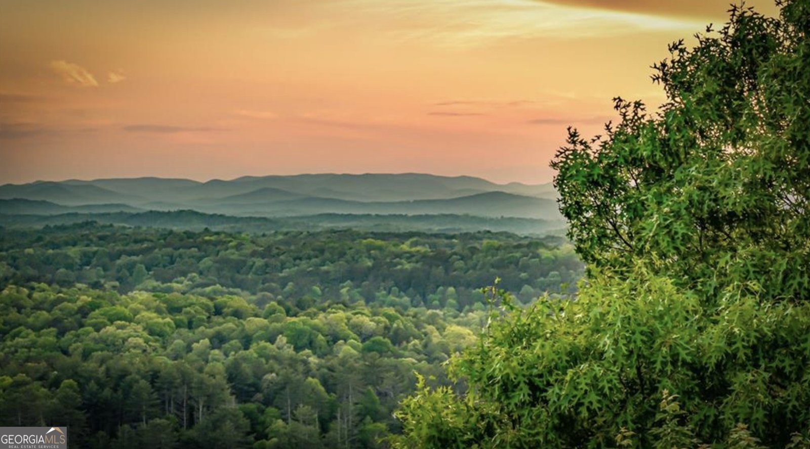 147 Little Bluff Trail Morganton - 28
