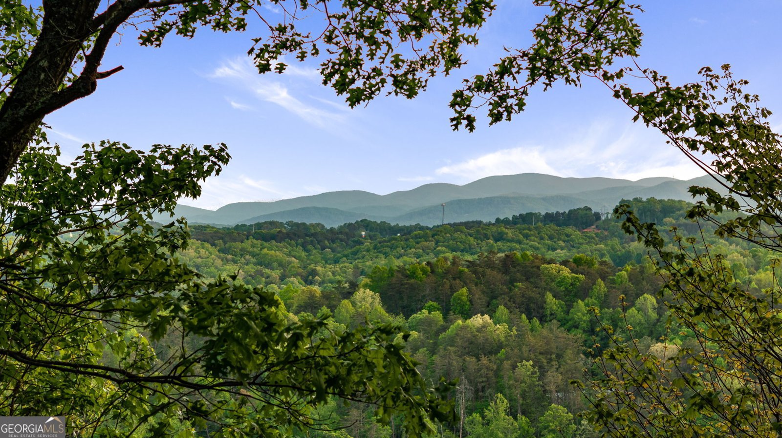 147 Little Bluff Trail Morganton - 38