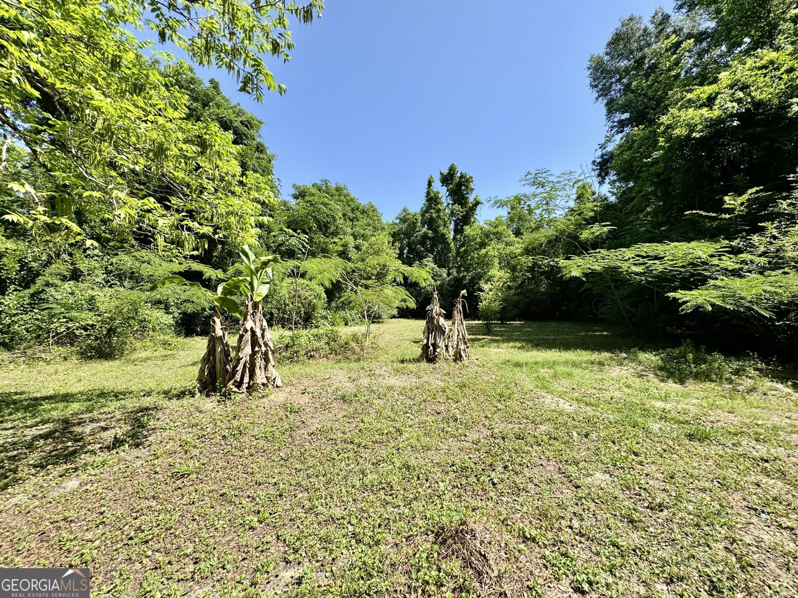 4365 US Highway 341 Jesup - 23