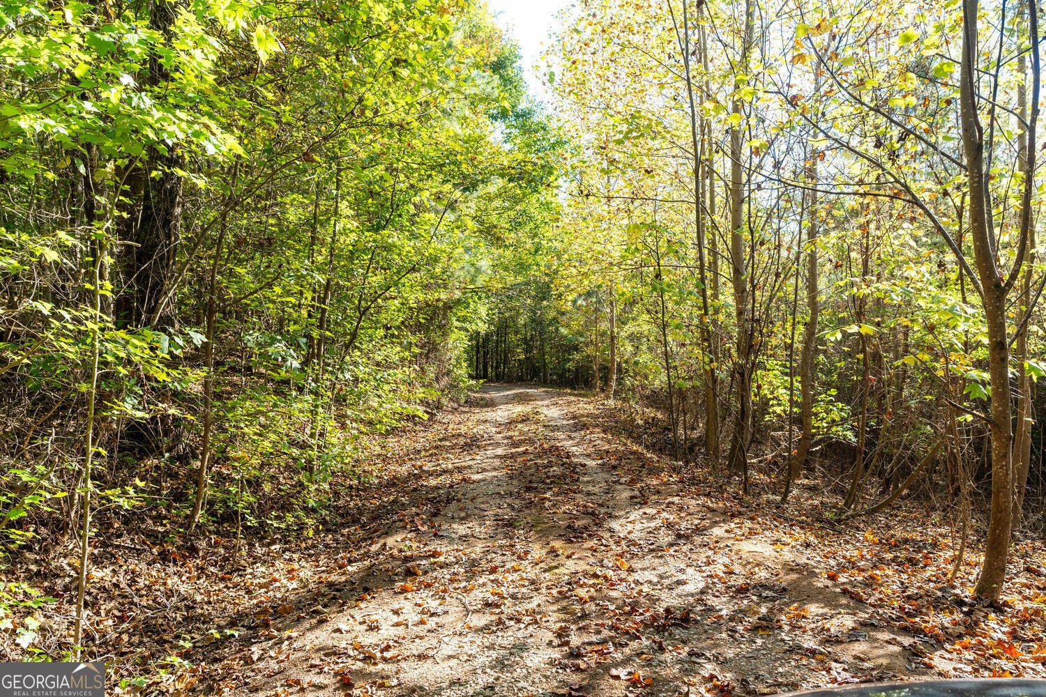 0 Vinson Mountain Road Rockmart - 55