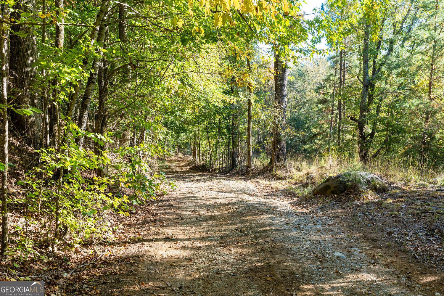 0 Vinson Mountain Road Rockmart - 56