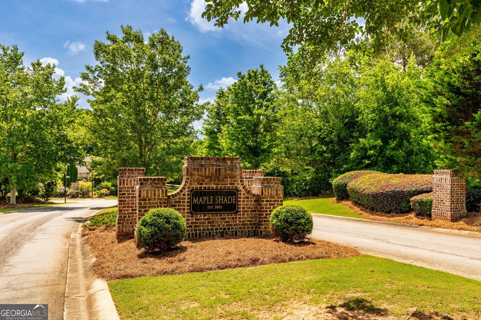 255 Ashmere Court Tyrone - 59
