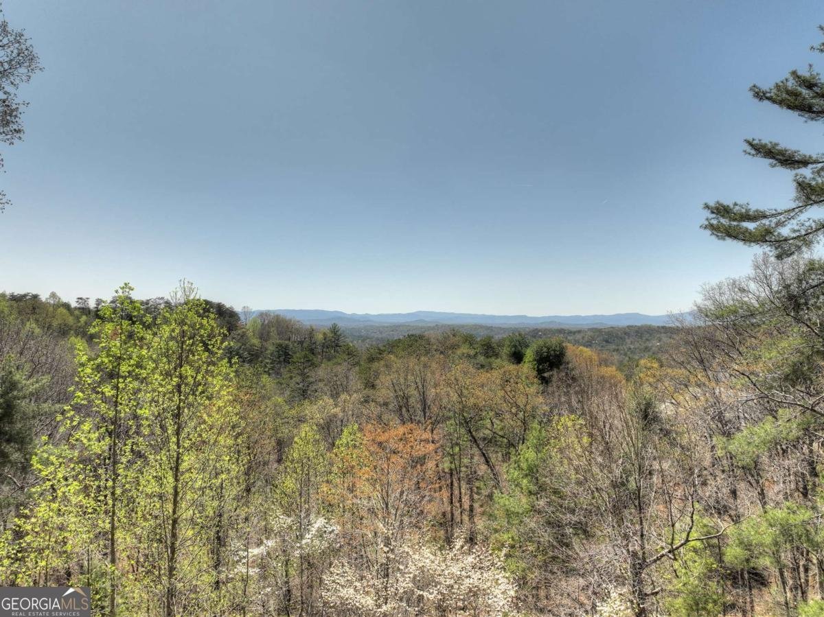 143 Katydid Road Morganton - 52