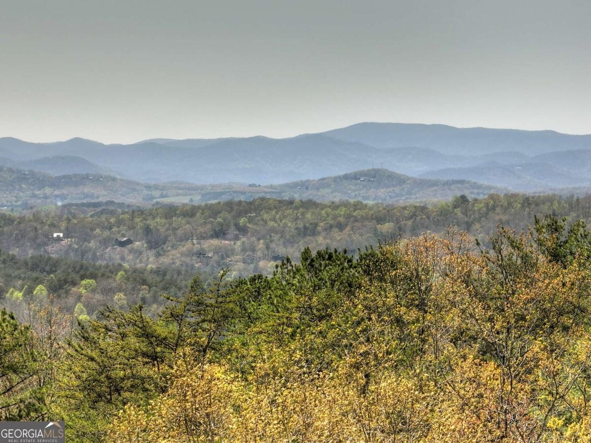 143 Katydid Road Morganton - 53