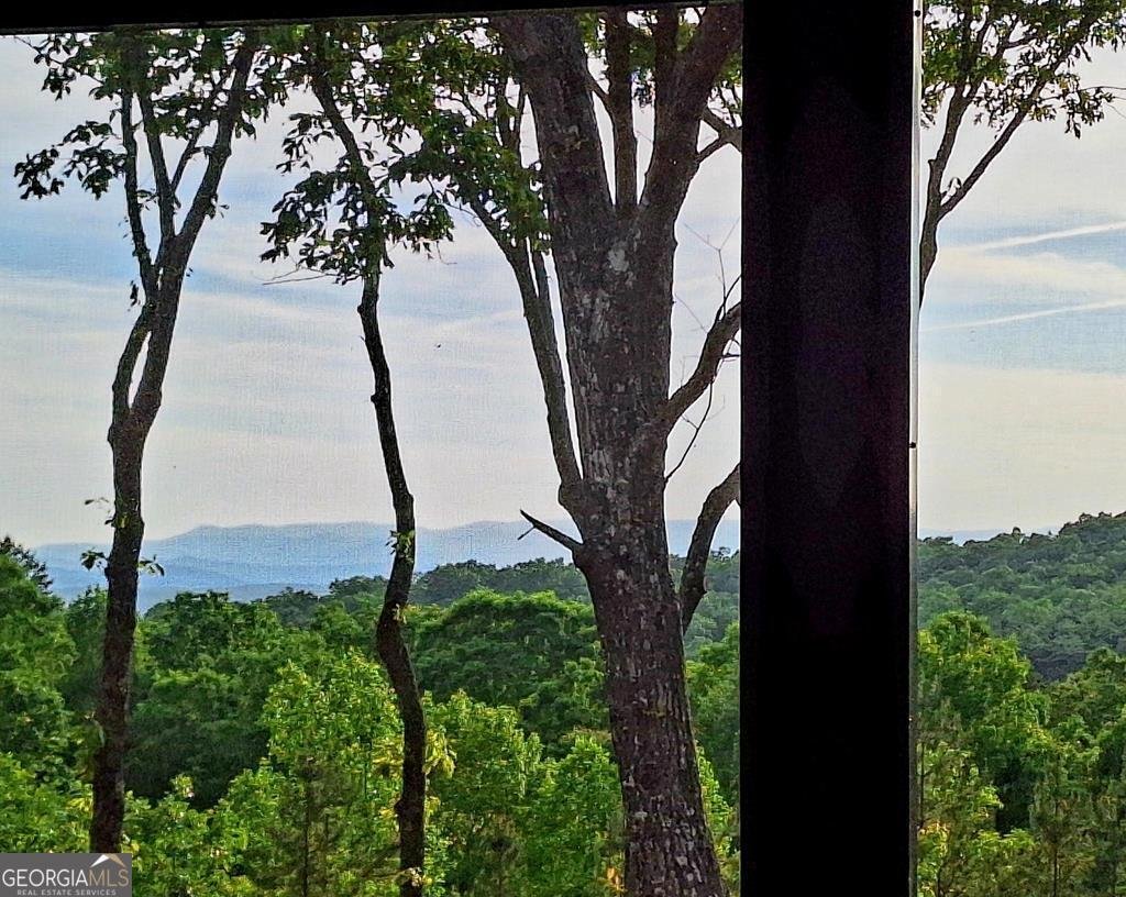 171 Antler Way Morganton - 2