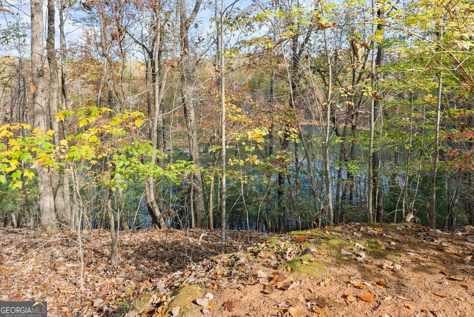 1418 Panorama Drive Sautee Nacoochee - 46