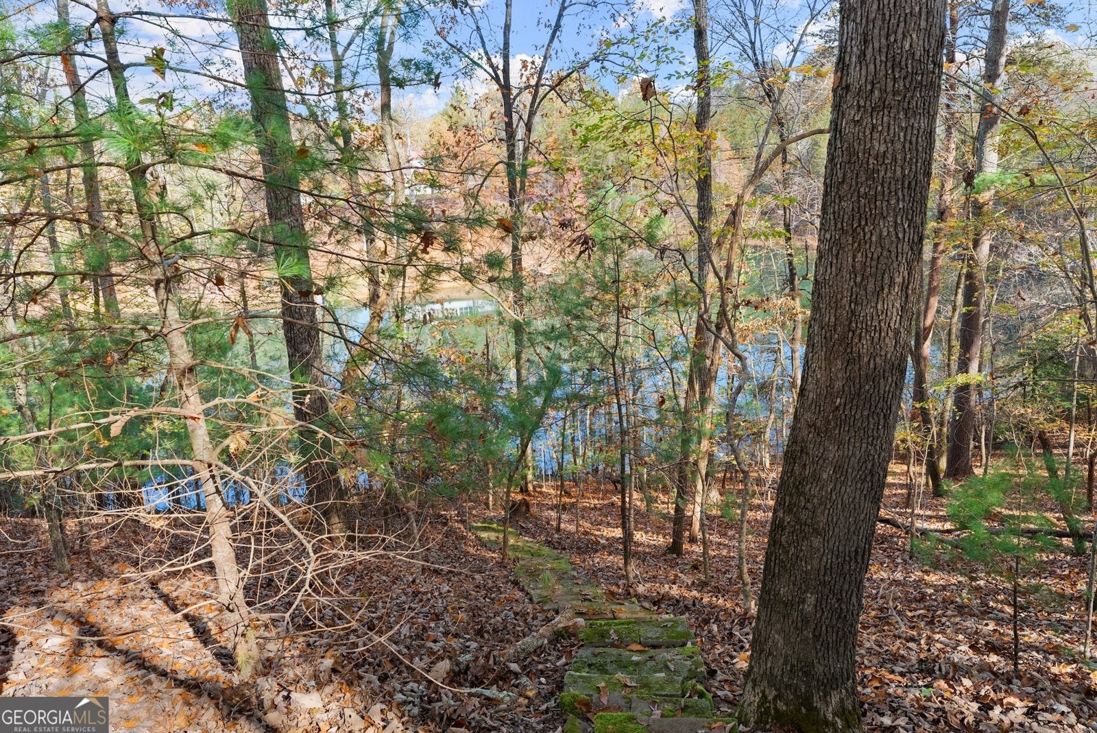 1418 Panorama Drive Sautee Nacoochee - 50