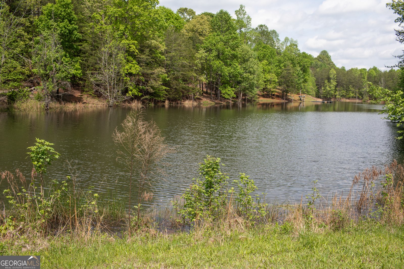 1418 Panorama Drive Sautee Nacoochee - 6