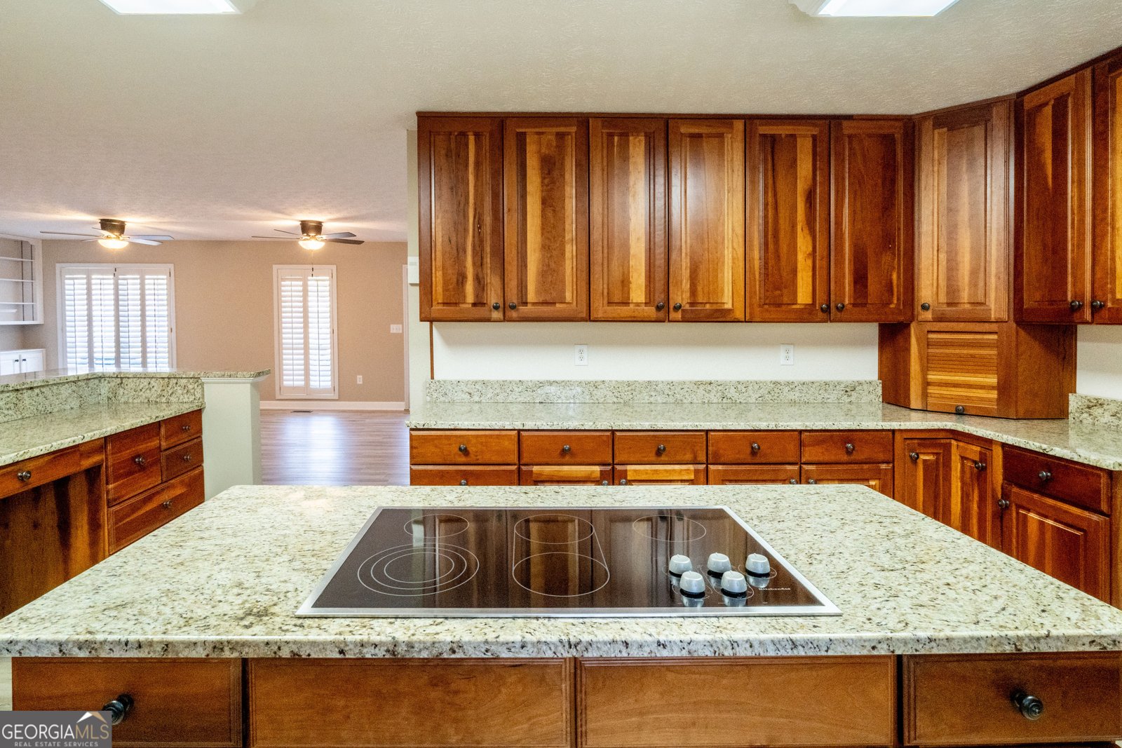 7963 Smith Road Villa Rica - 21