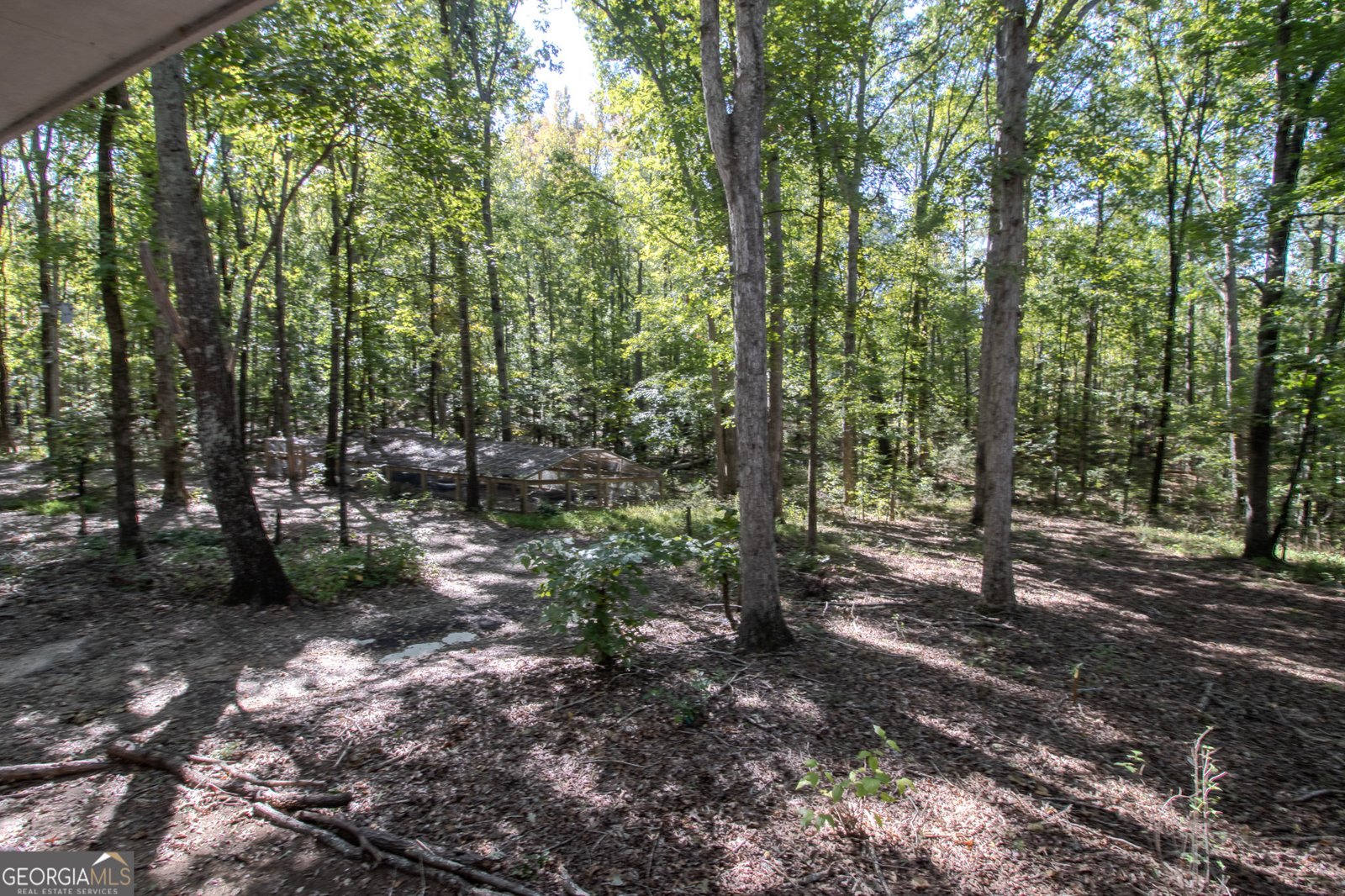 1597 Leguin Mill Road Locust Grove - 47