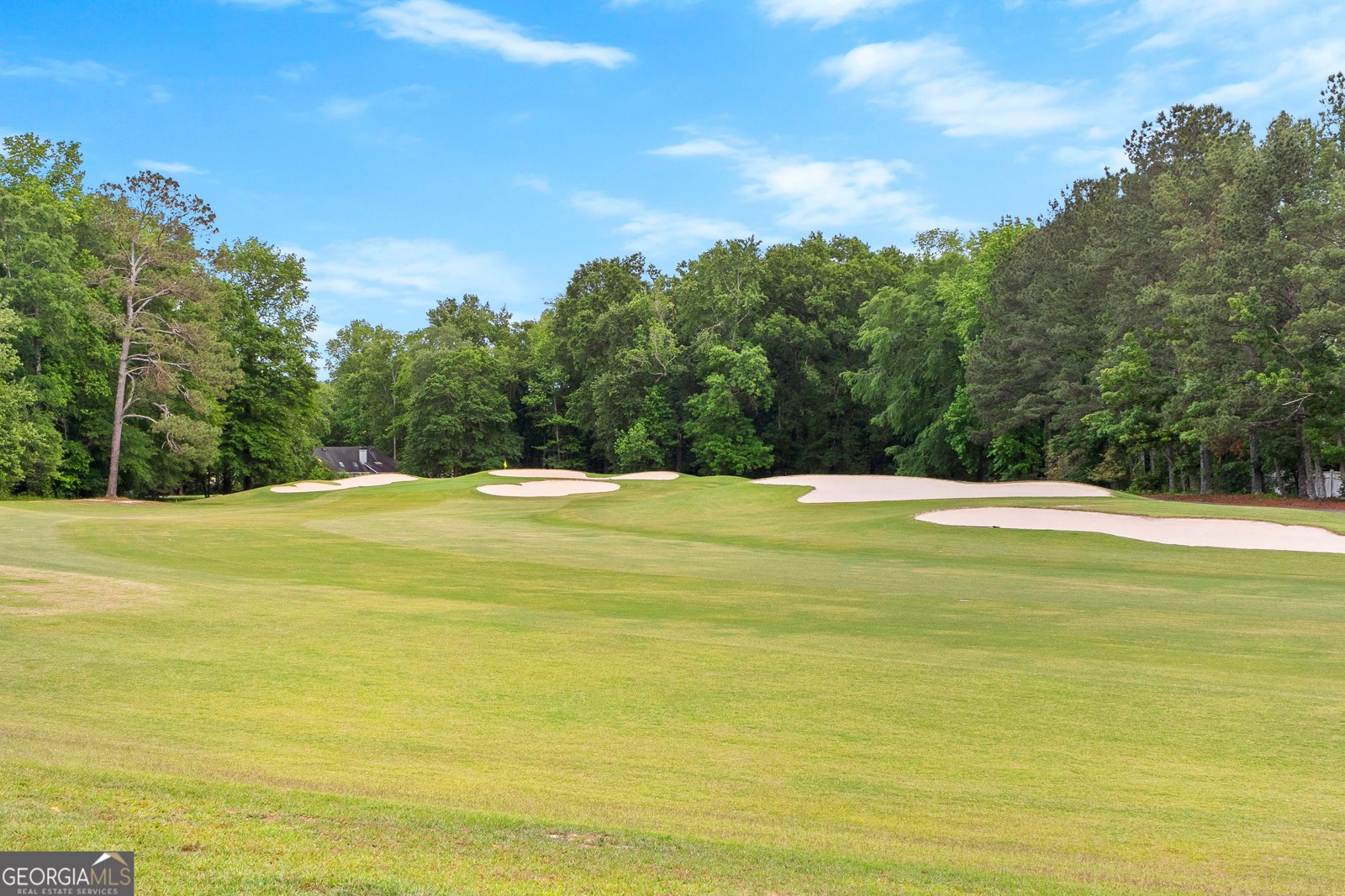 317 Calgary Drive Peachtree City - 58