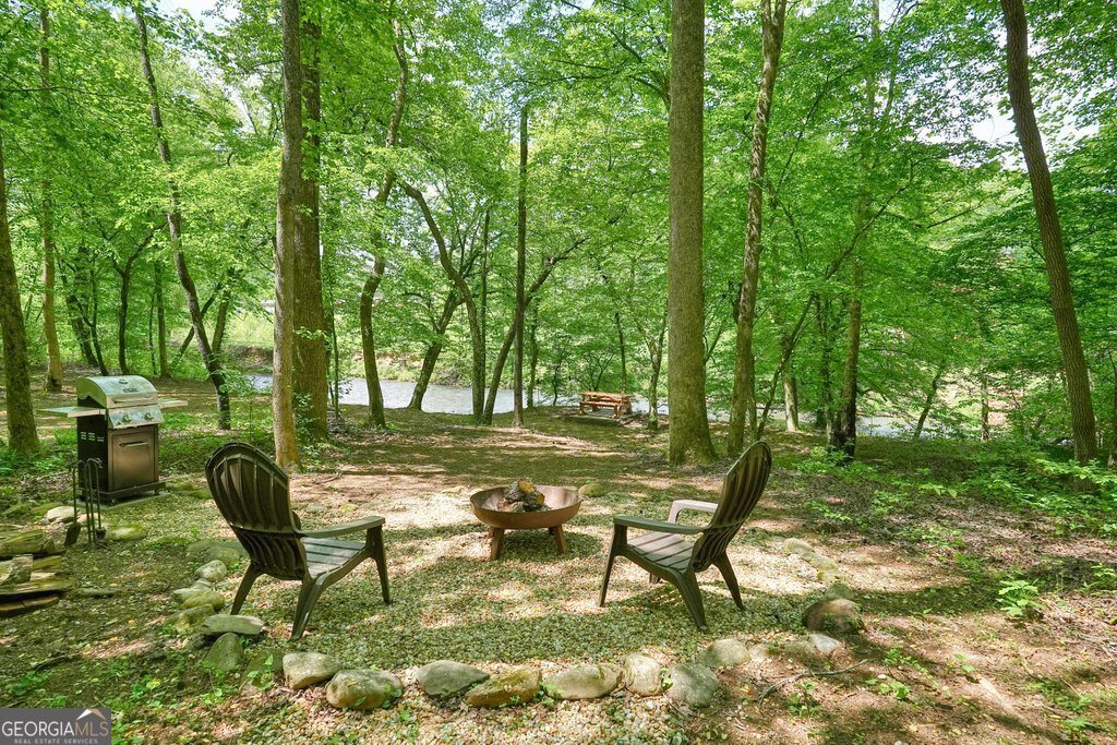 317 River Escape Drive Ellijay - 32