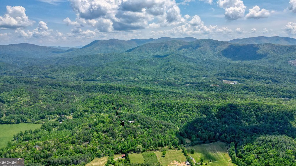 317 River Escape Drive Ellijay - 38