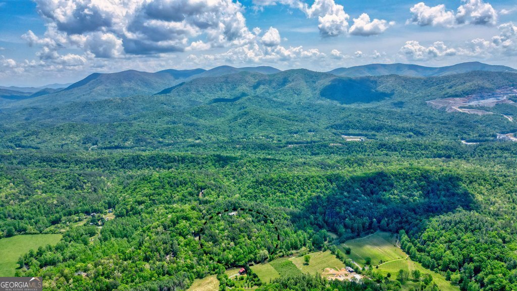 317 River Escape Drive Ellijay - 39