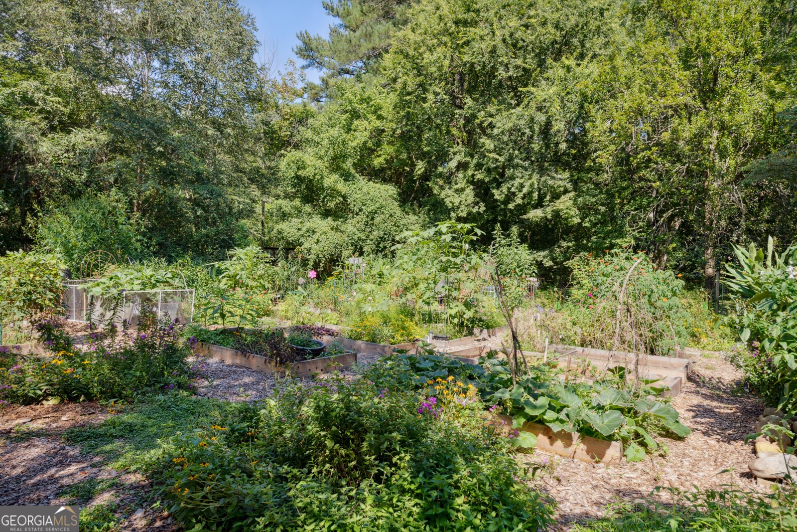 1165 Millennium Park Road Decatur - 72