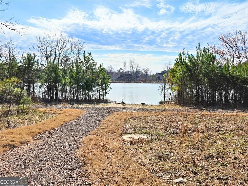 670 Redhead Way Grayson - 15