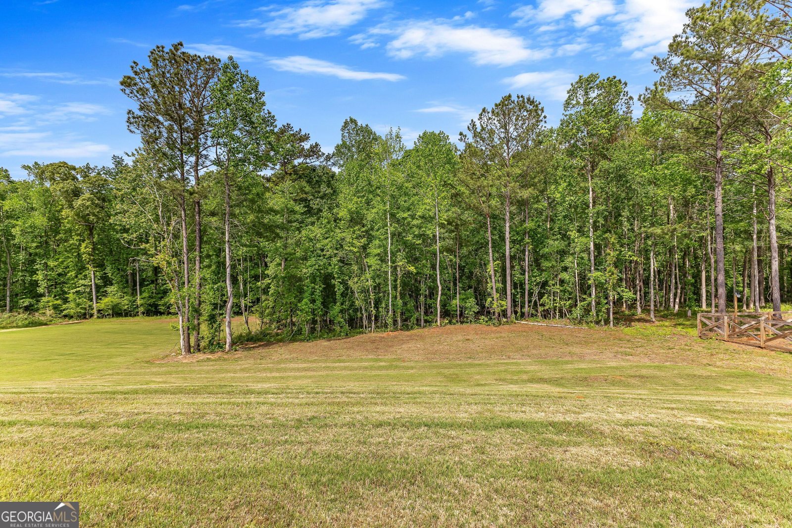 199 Sagebrook Lane Newnan - 54