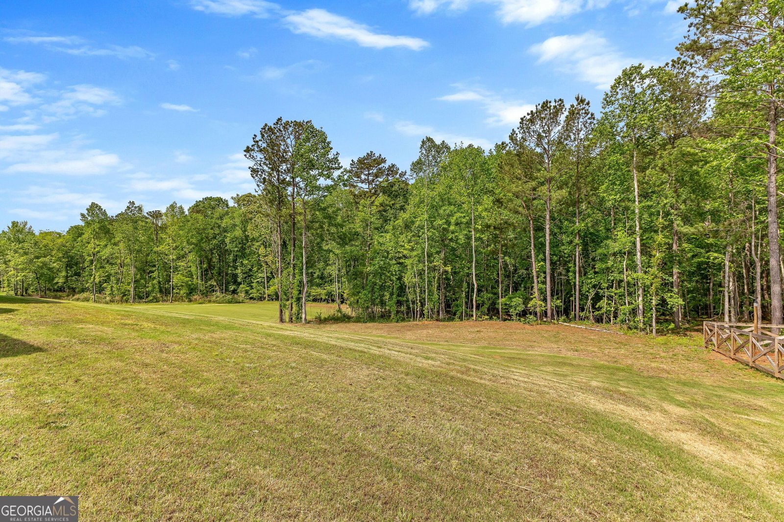 199 Sagebrook Lane Newnan - 55