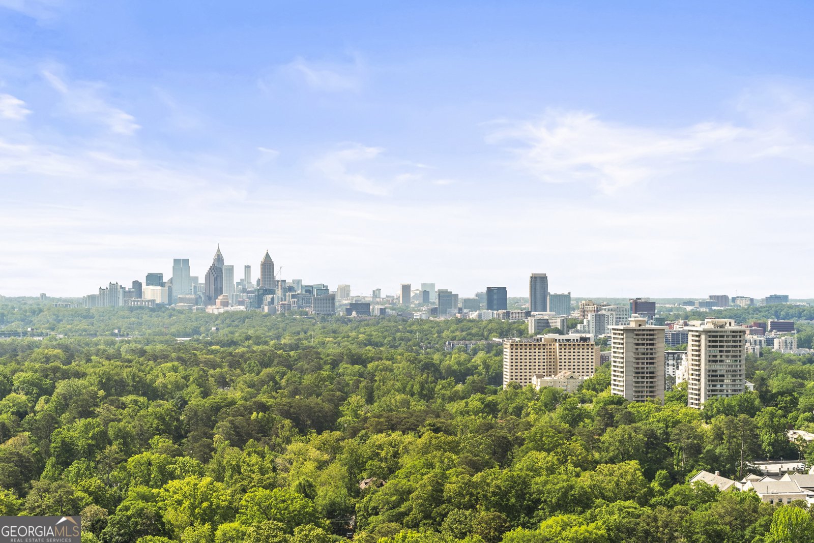 2881 Peachtree Road Atlanta - 75