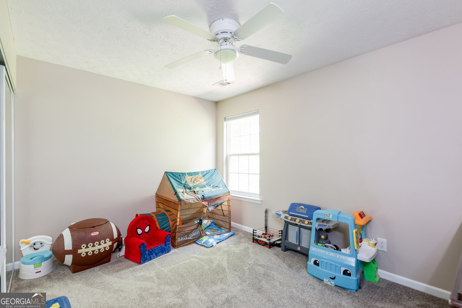 314 Meadows Lane Canton - 10