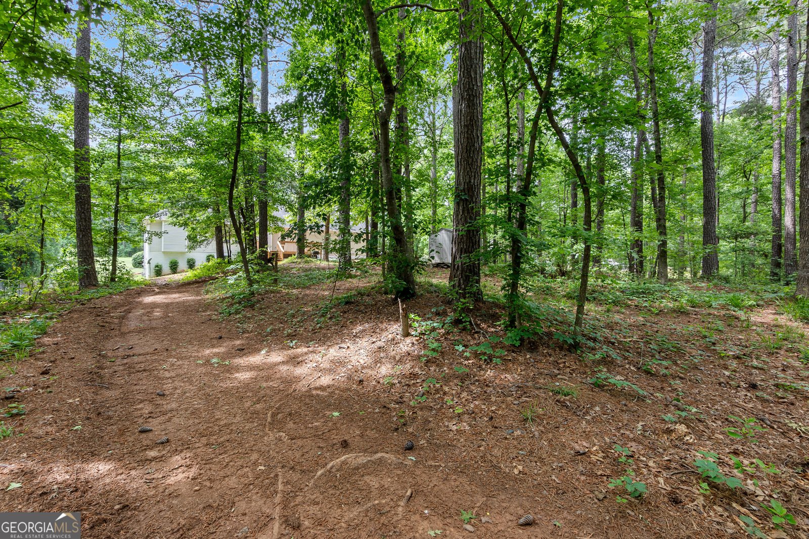 372 River Point Drive McDonough - 63