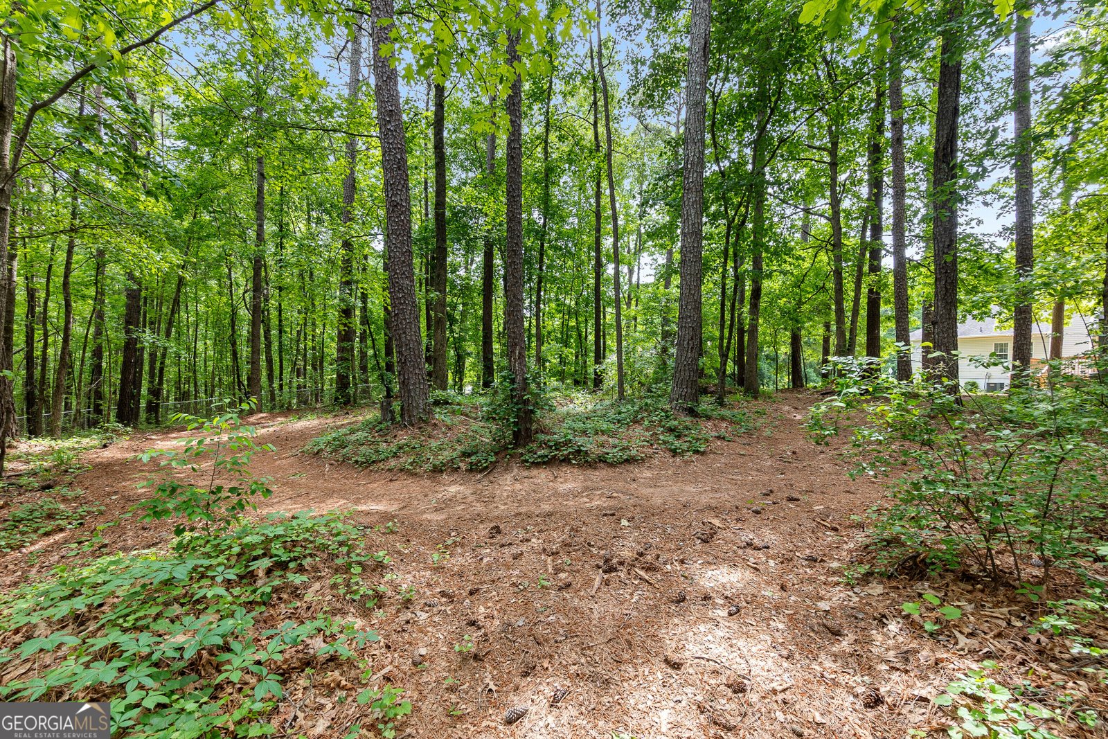 372 River Point Drive McDonough - 64