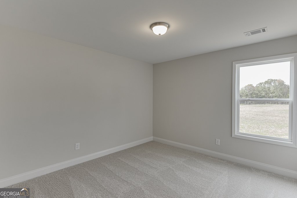 269 Franklin Hills Drive Carnesville - 10