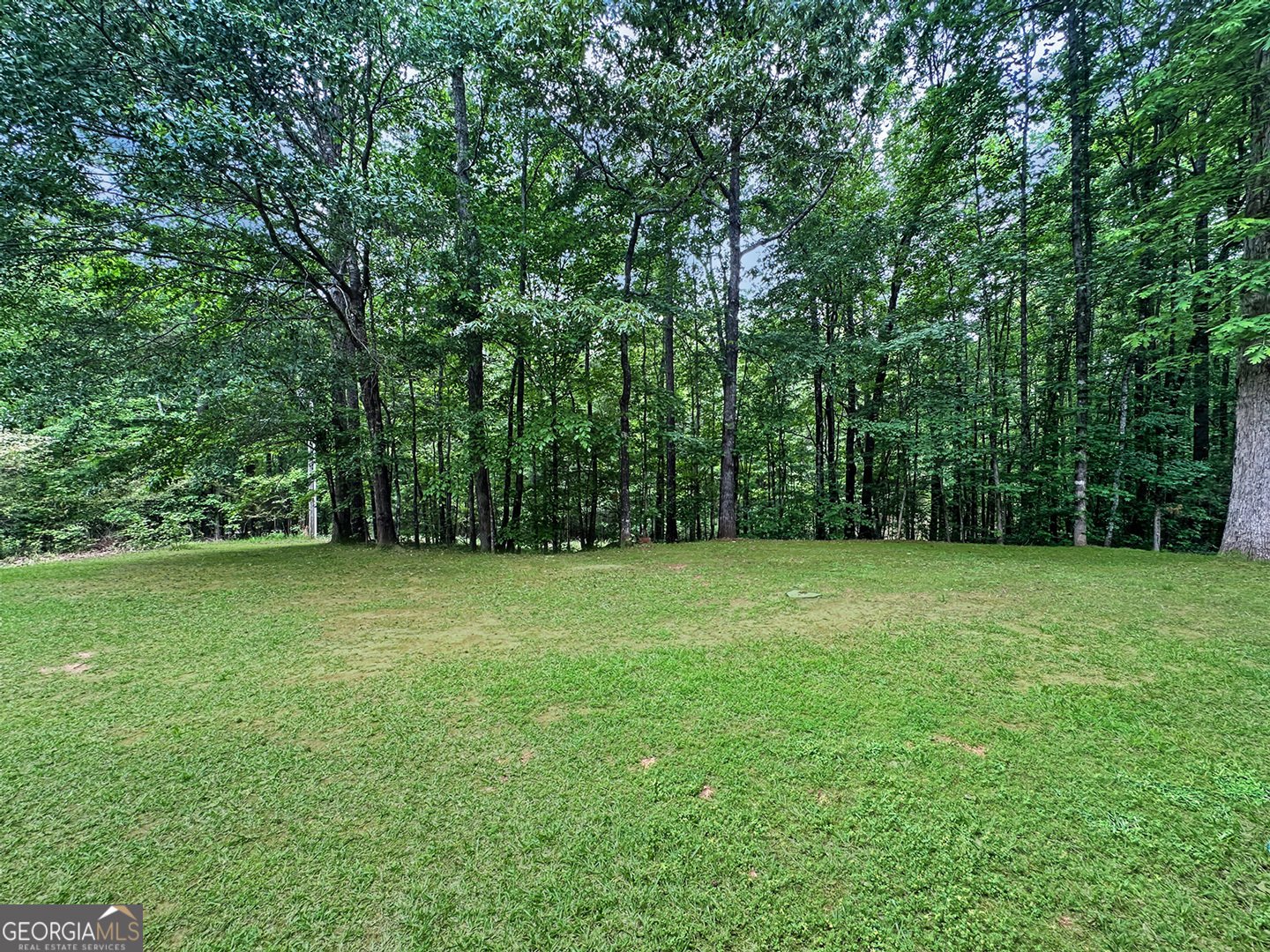 715 Frog Road Locust Grove - 42