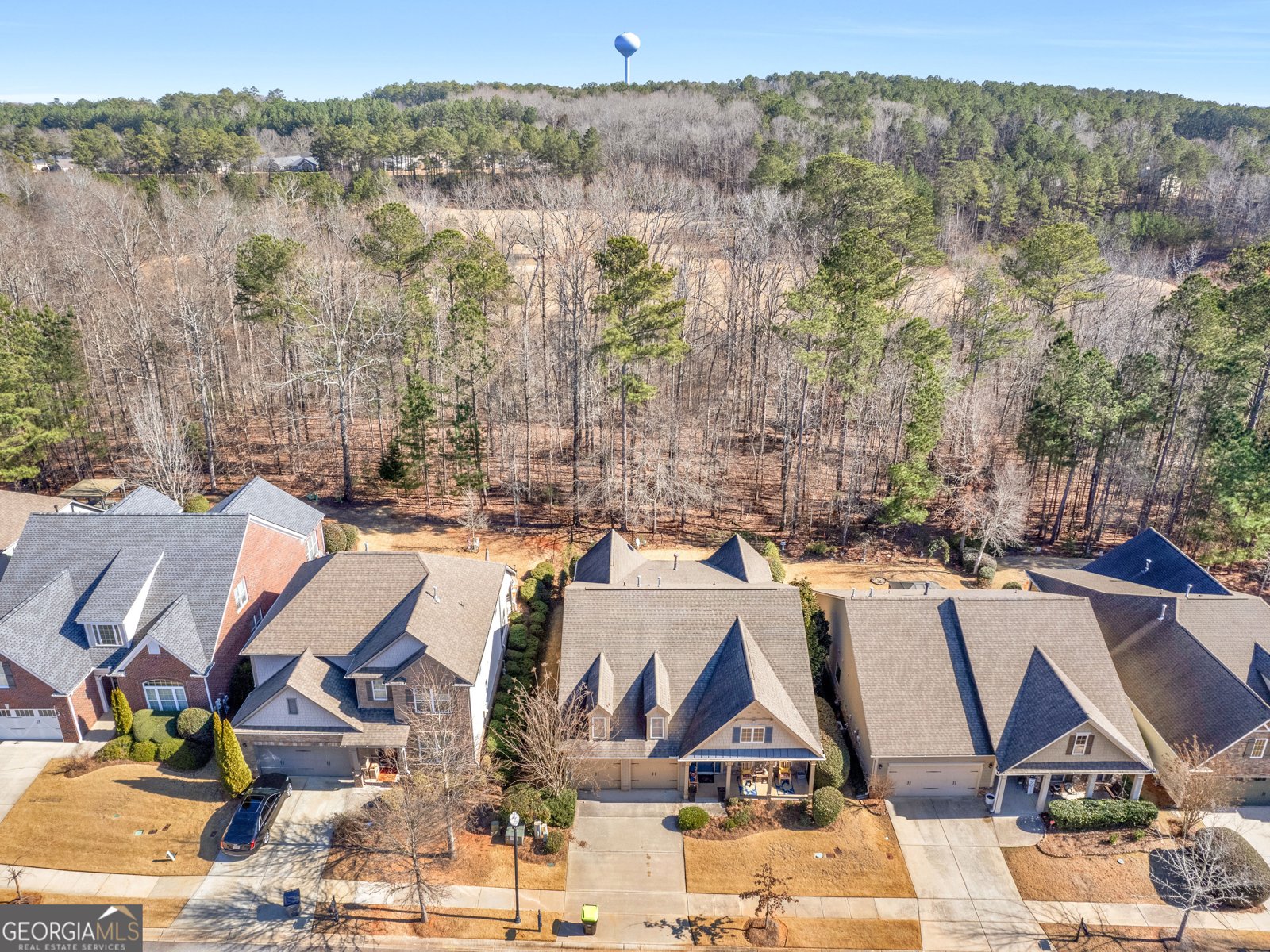 1141 Pebble Creek Lane Locust Grove - 34
