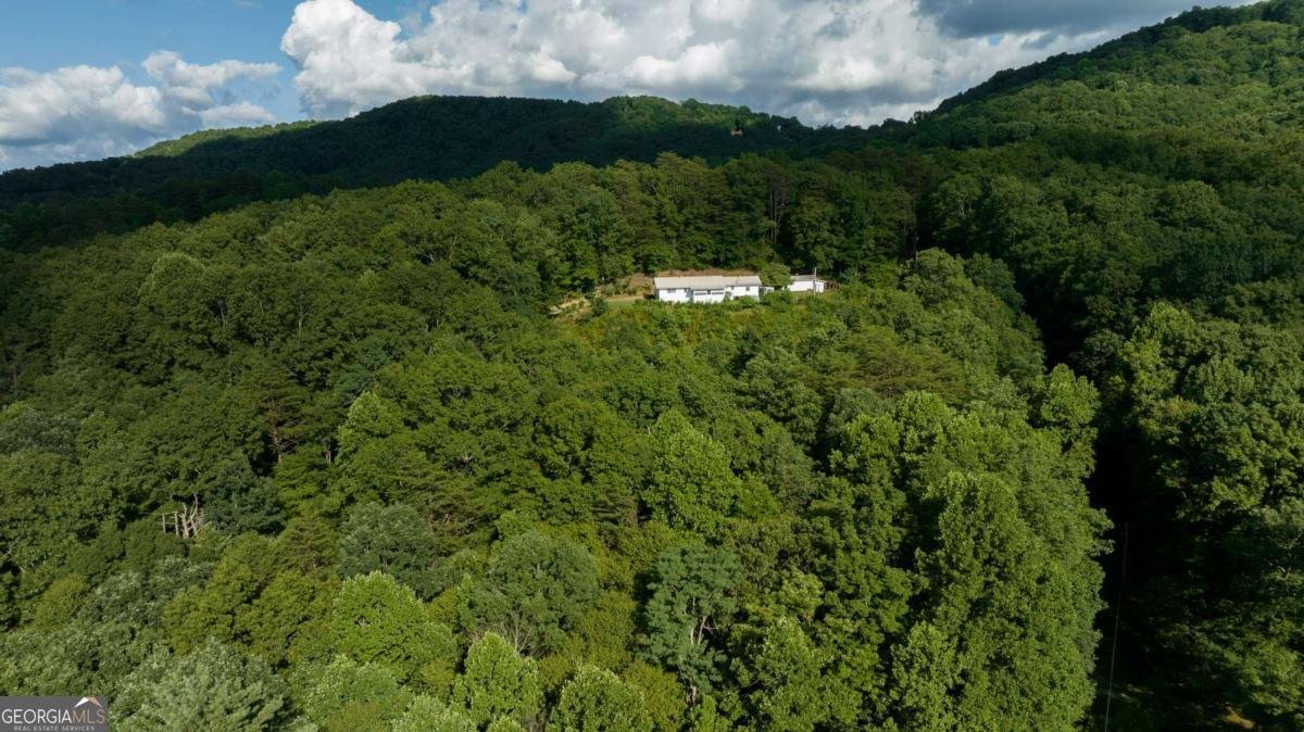 588 Pinetree Road Blue Ridge - 36