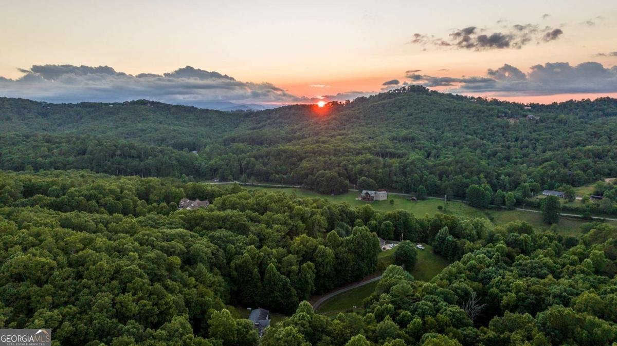 588 Pinetree Road Blue Ridge - 39