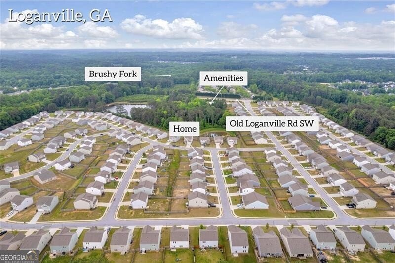 3828 RAMSAY Pass Loganville - 62