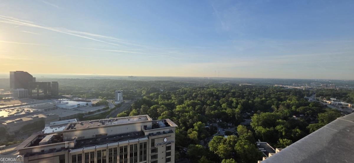 3324 Peachtree Road Atlanta - 55