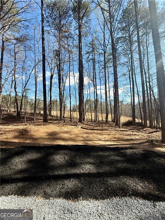 5075 FOREST DOWNS Lane Atlanta - 22
