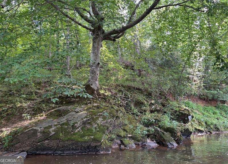 1584 Howell Bridge Road Ball Ground - 19