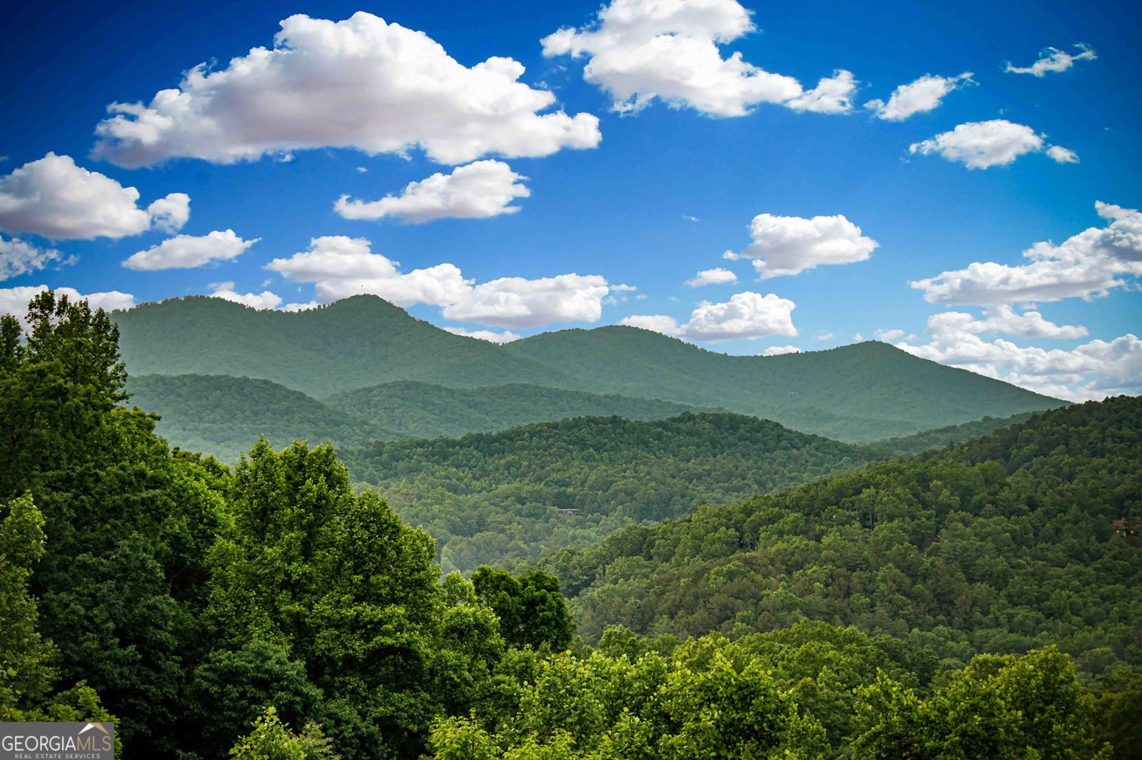 264 Pontoosuc Drive Mineral Bluff - 60