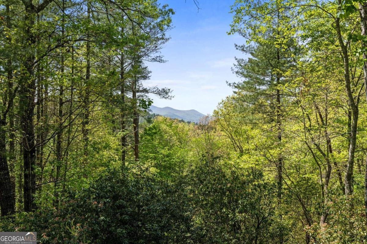 142 Amelia Lane Blue Ridge - 50