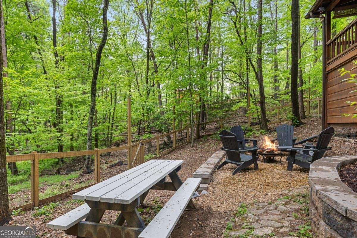987 Cherry Lake Drive Blue Ridge - 19