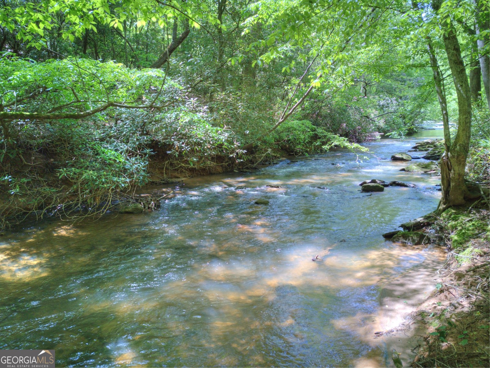 922 Amys Ford Trail Cleveland - 3