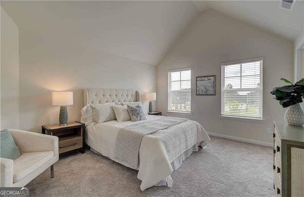 376 Collier Mills Rd Drive Lawrenceville - 12