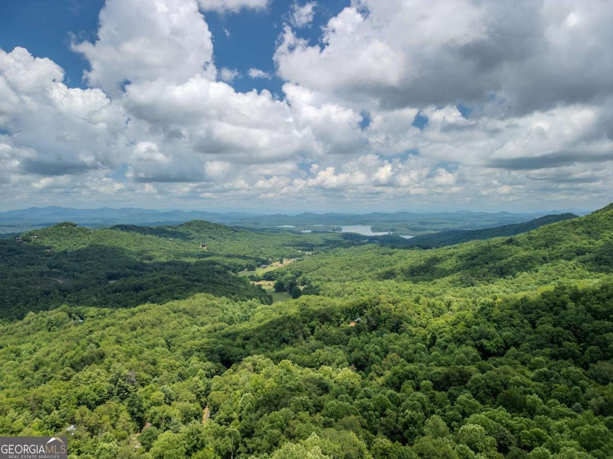 889 Chestnut Ridge Blue Ridge - 42
