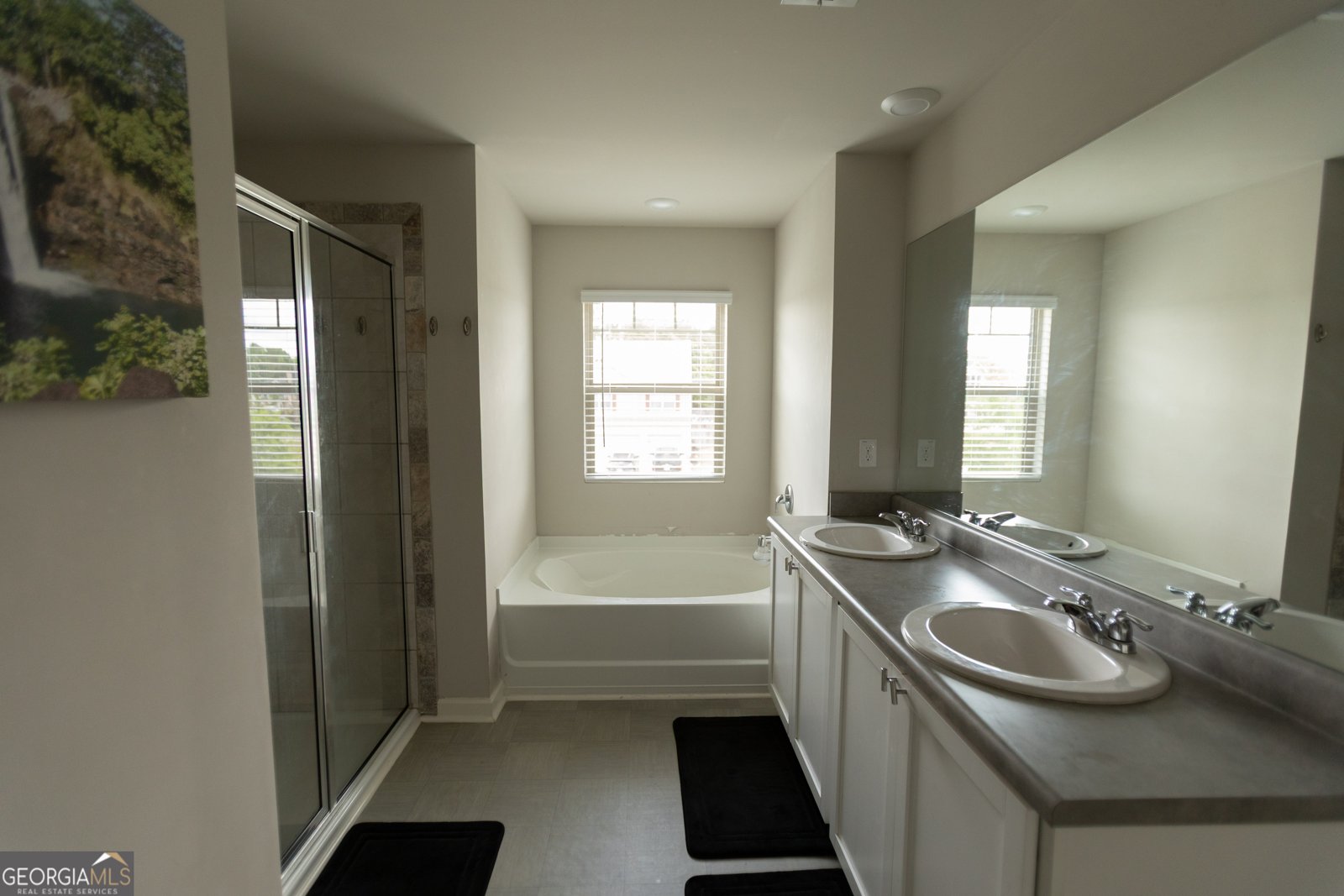 8045 Coleson Crossing Locust Grove - 13