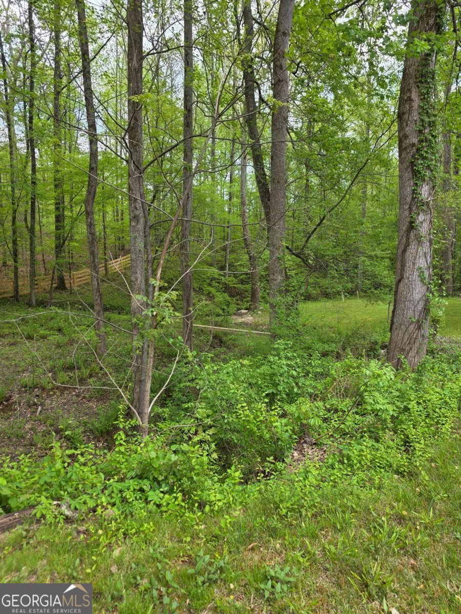 1180 Edwards Mill Road Ball Ground - 22
