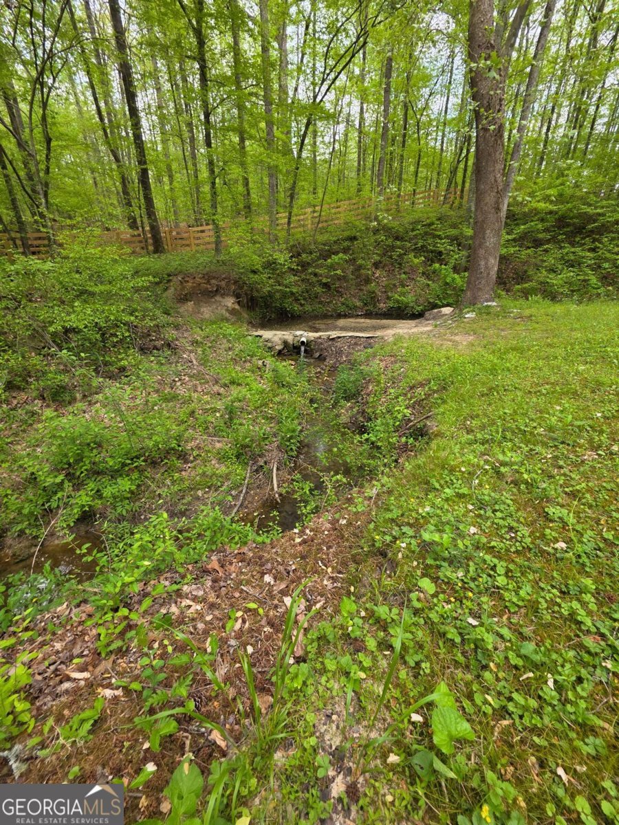 1180 Edwards Mill Road Ball Ground - 24