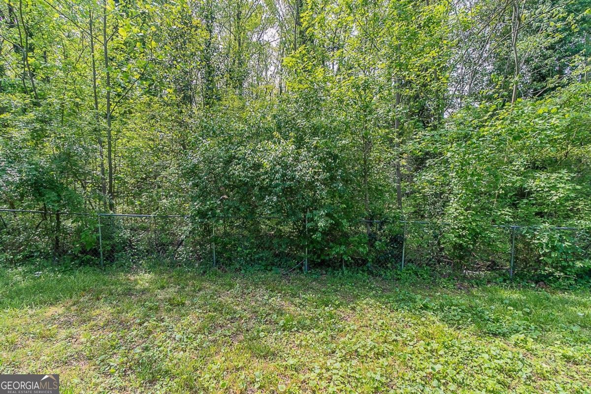 4089 Lindsey Drive Decatur - 21