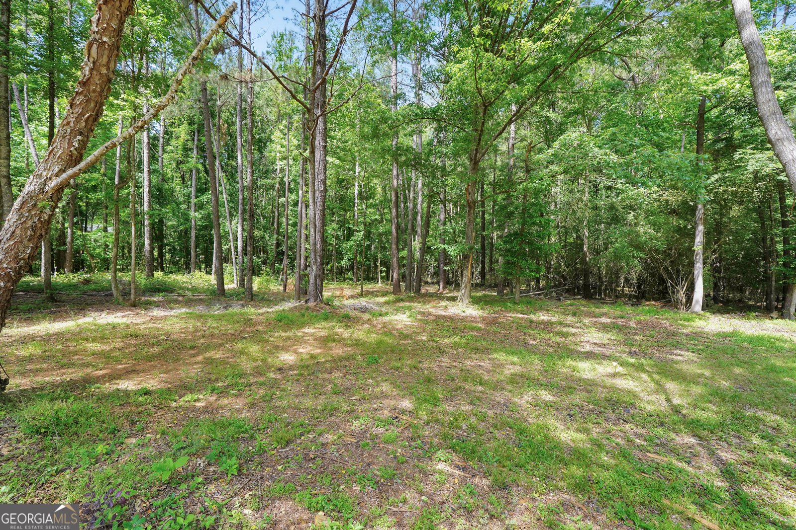 147 Sims Road Hogansville - 37