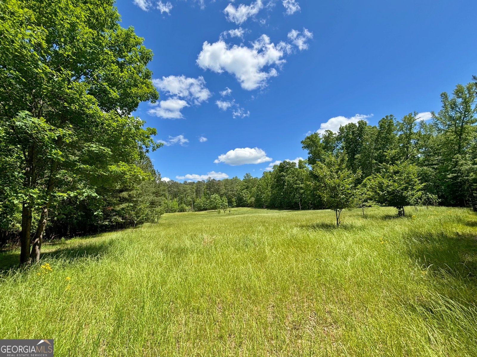 2520 Hollonville Road Brooks - 23